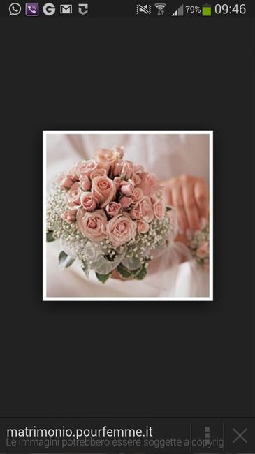 Il rosa è lui!!! - 2