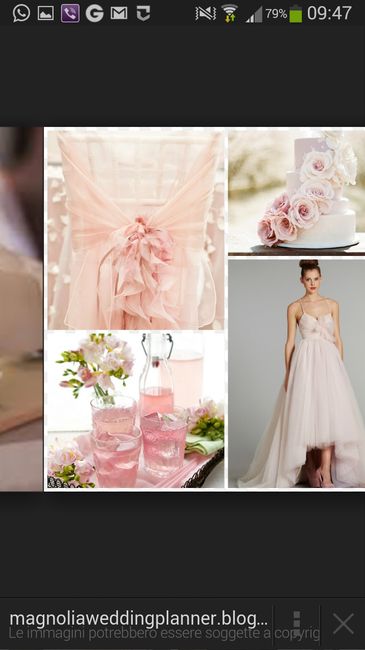 Il rosa è lui!!! - 3