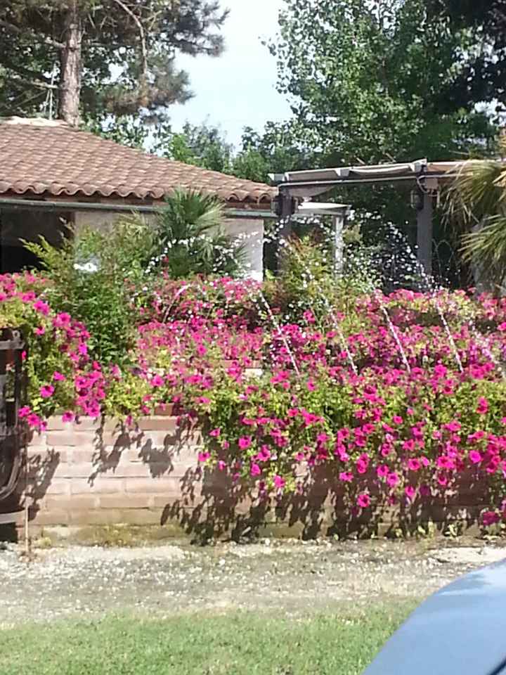 Un po indecisa ma forse ci siamo - 3