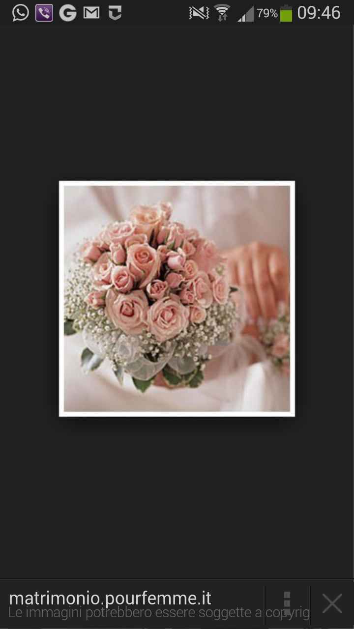 Il rosa è lui!!! - 2