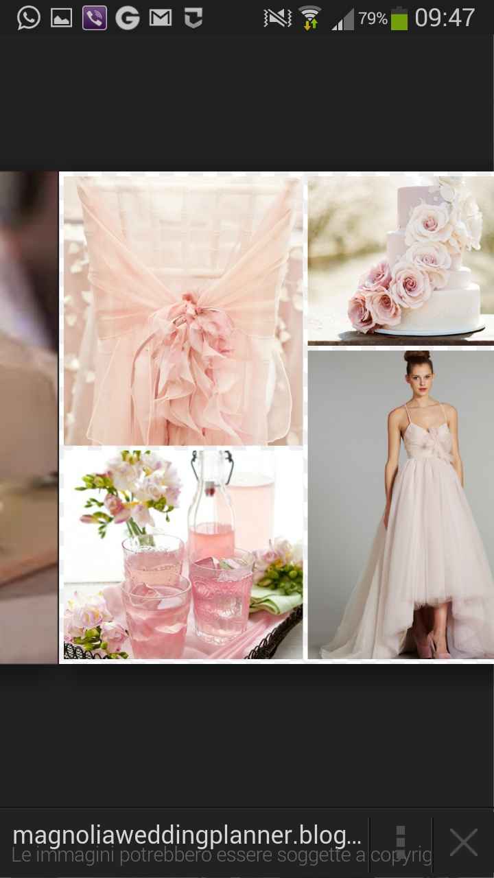 Il rosa è lui!!! - 3