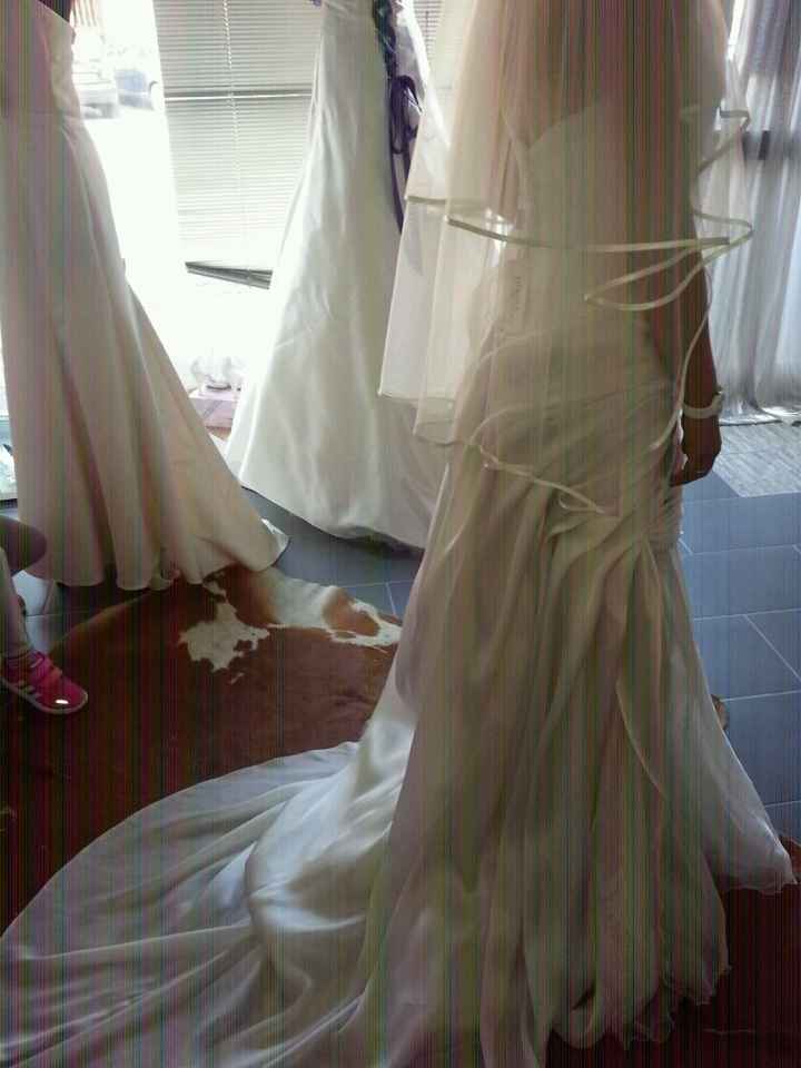 Mi fate vedere i vostri abiti? - 2