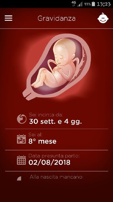 Settimane gravidanza 1