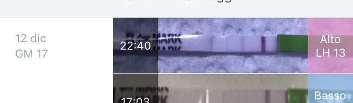 Valore Lh - è normale? 4