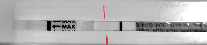 a chi spera che dicembre sia il mese giusto - 1