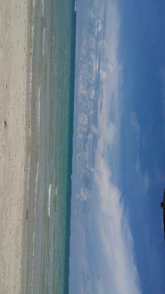 Viaggio di nozze e paura di volare - 2