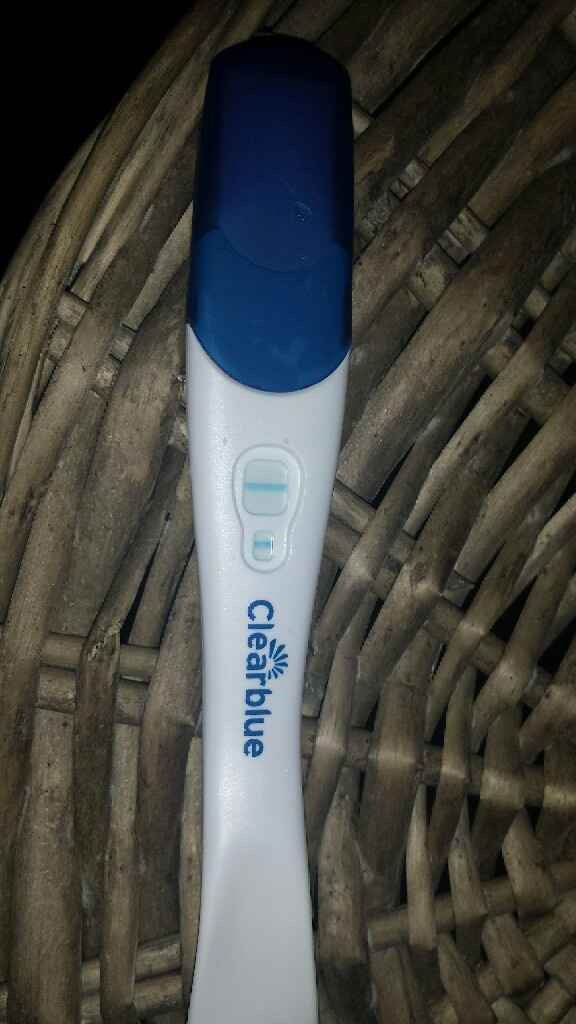  Test ditemi che è vero - 1