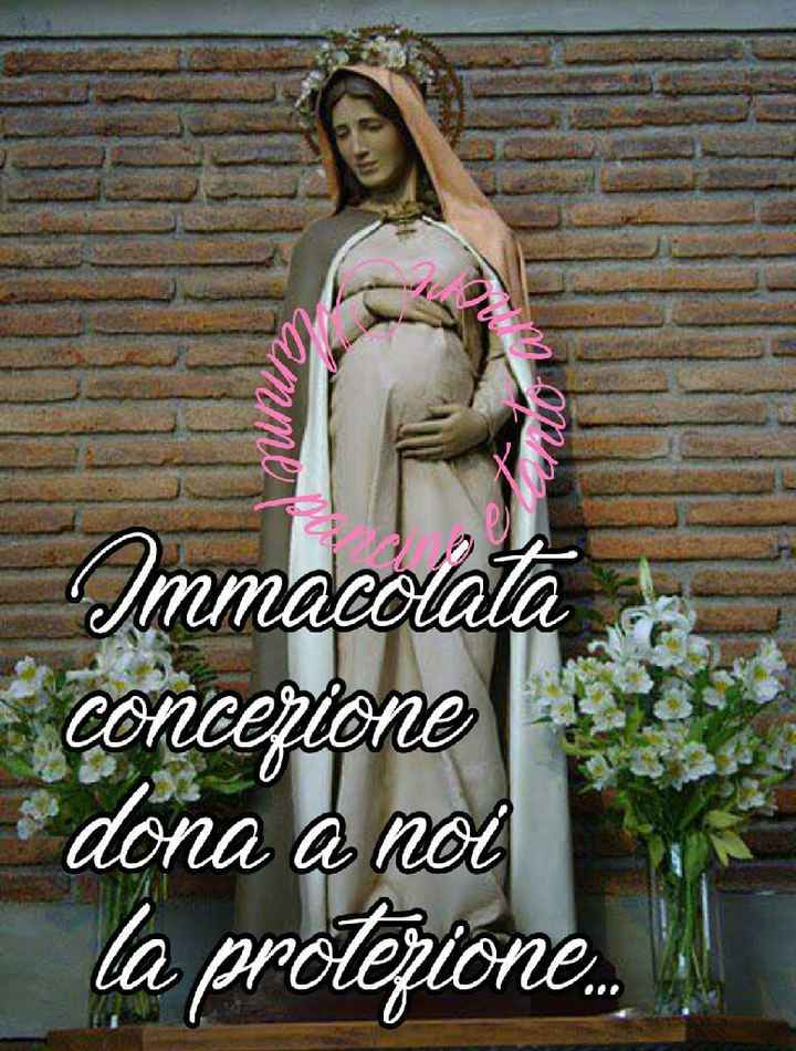  Buon immacolata - 1