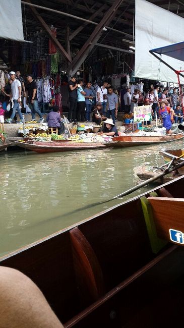 Viaggio di nozze e paura di volare - 3