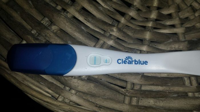 Livello progesterone 1