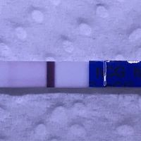 a chi spera che dicembre sia il mese giusto - 1