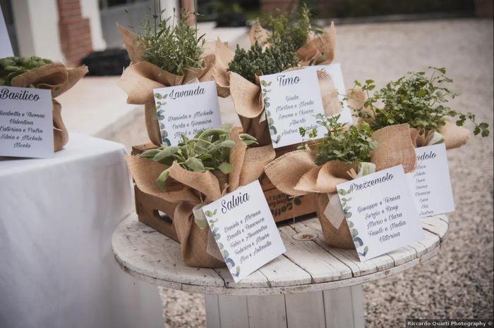 Alternativa fiori recisi 2