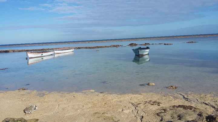 Isole mauritius - 2