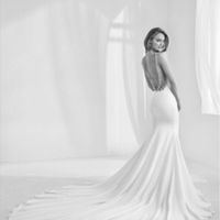 Cosa pensereste di una sposa con questo abito? - 1