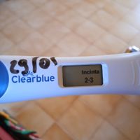 Chi non le aspetta per gennaio 2023 ❄️ ☃️ - 1