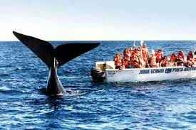 Ecco il nostro viaggio! - 3