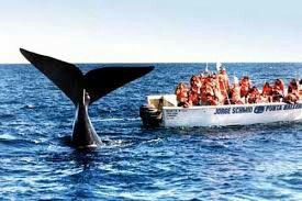 Ecco il nostro viaggio! - 3