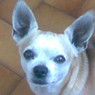 Roberta