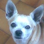Roberta