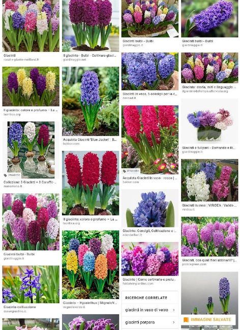 Fiori per boquet - 2