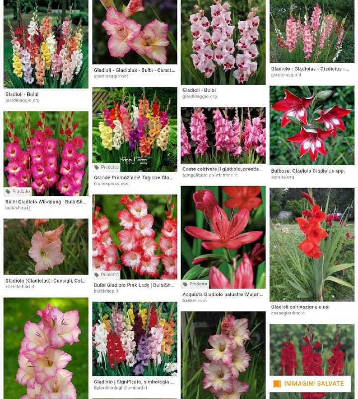 Fiori per boquet - 1