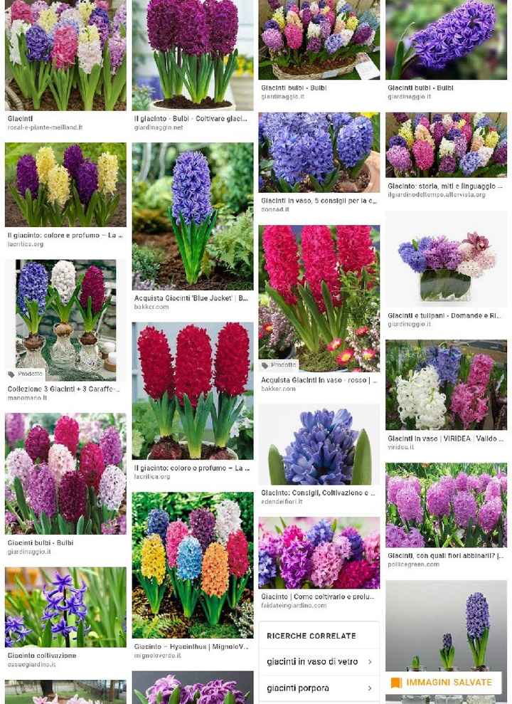 Fiori per boquet - 2