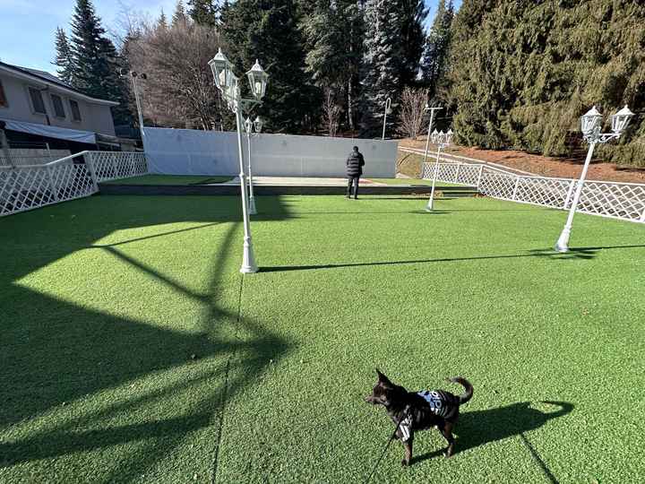 Parte più bella della vostra Locescion❤️ - 1