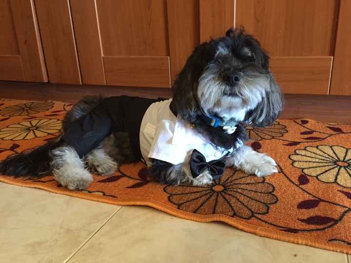 Primi arrivi aliexpress:-) - 2