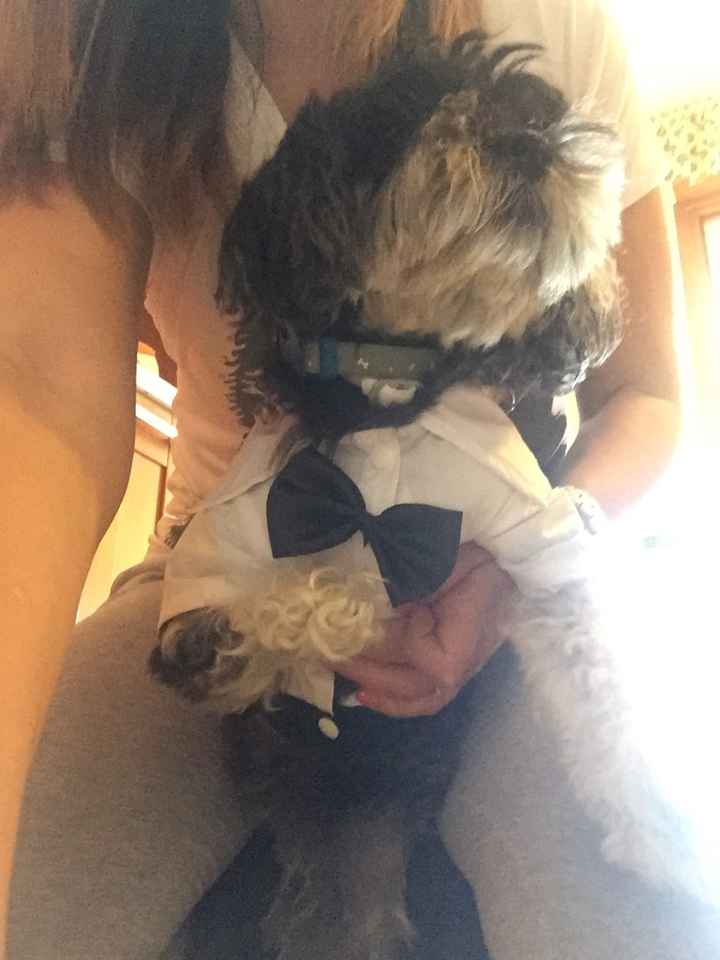 Primi arrivi aliexpress:-) - 4