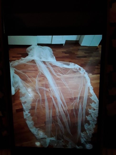  Quanto può costare qst velo? - 2