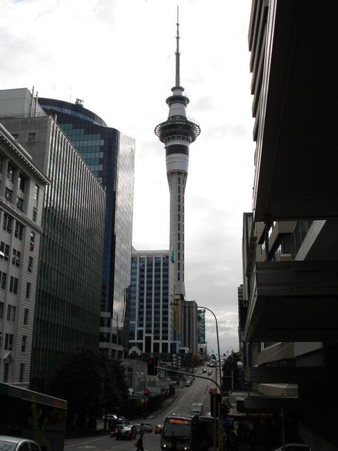 Auckland_11
