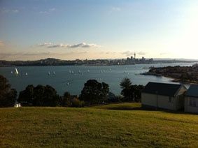 Auckland_12