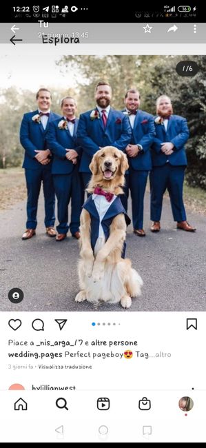 Cani al matrimonio 3