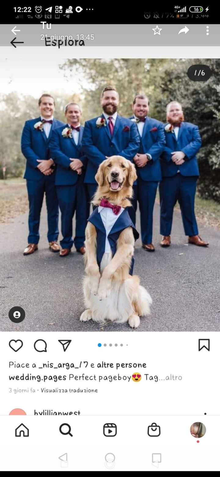Cani al matrimonio - 2
