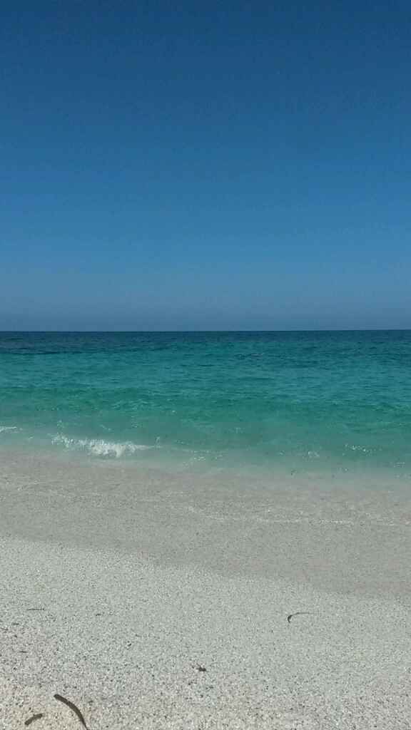 Viaggio di nozze - 6