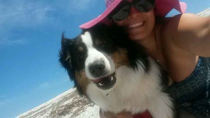 Panico viaggio di nozze.. nozze italiana - 2