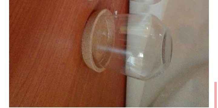  Bomboniere disney la bella e la bestia sondaggio - 1