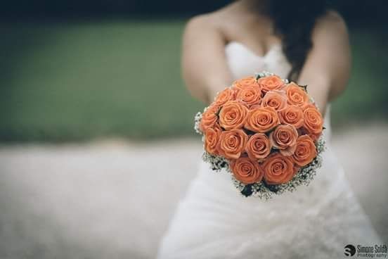 Matrimonio 12 giugno 2015 - 1
