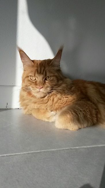 La vostra storia! - 1