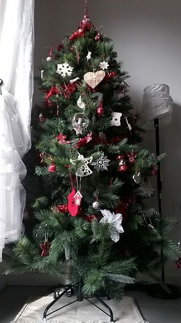 Ultimo albero da fidanzati - 2