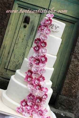 torta fucsia