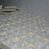 La scatolina con i confetti