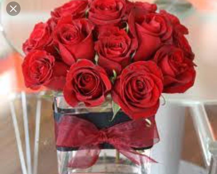 Rosso- Ricevimento - 2