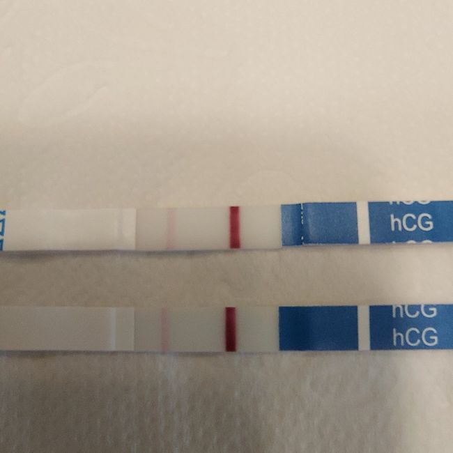 chi non le aspetta per aprile 2021😎❤️🤞❤️🍀 2