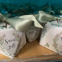 Scatoline confetti - 1