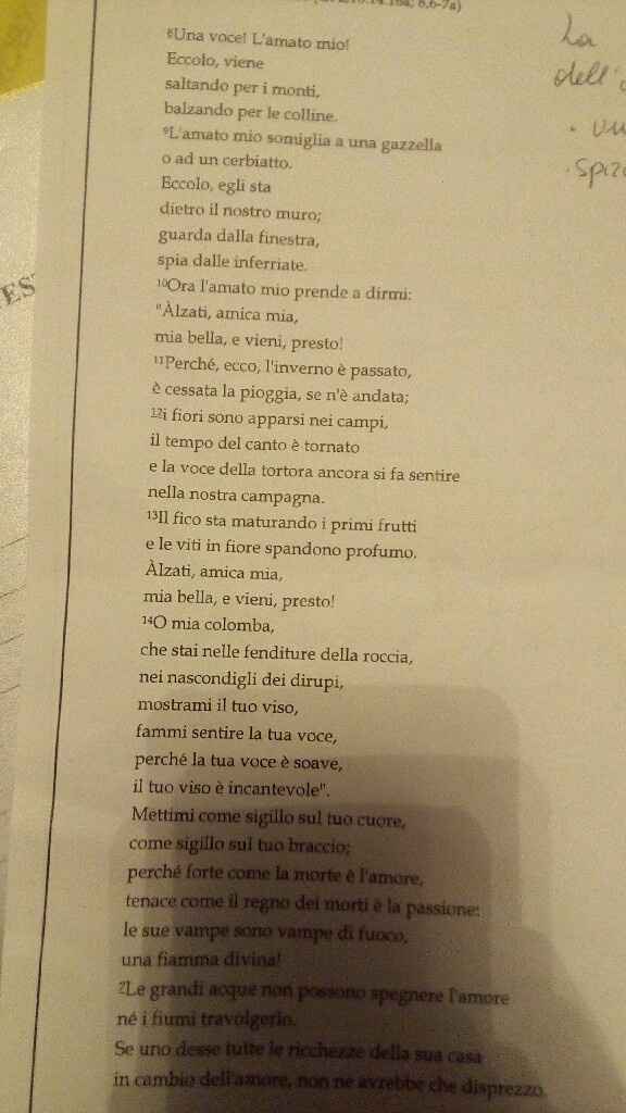 Letture in chiesa - 1