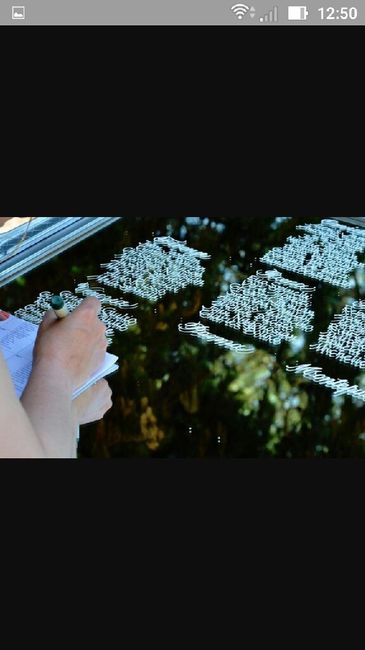 Help matrimonio a tema!!!! - 2