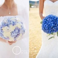 bouquet ortensie