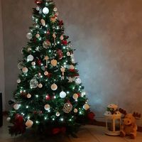 Il ns primo albero da mr. and mrs - 1