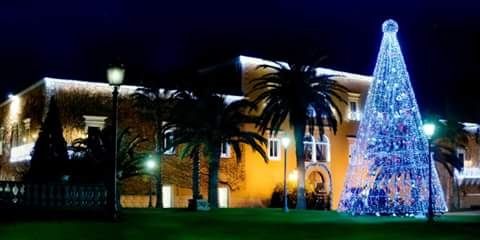 Sposarsi a dicembre?? - 5